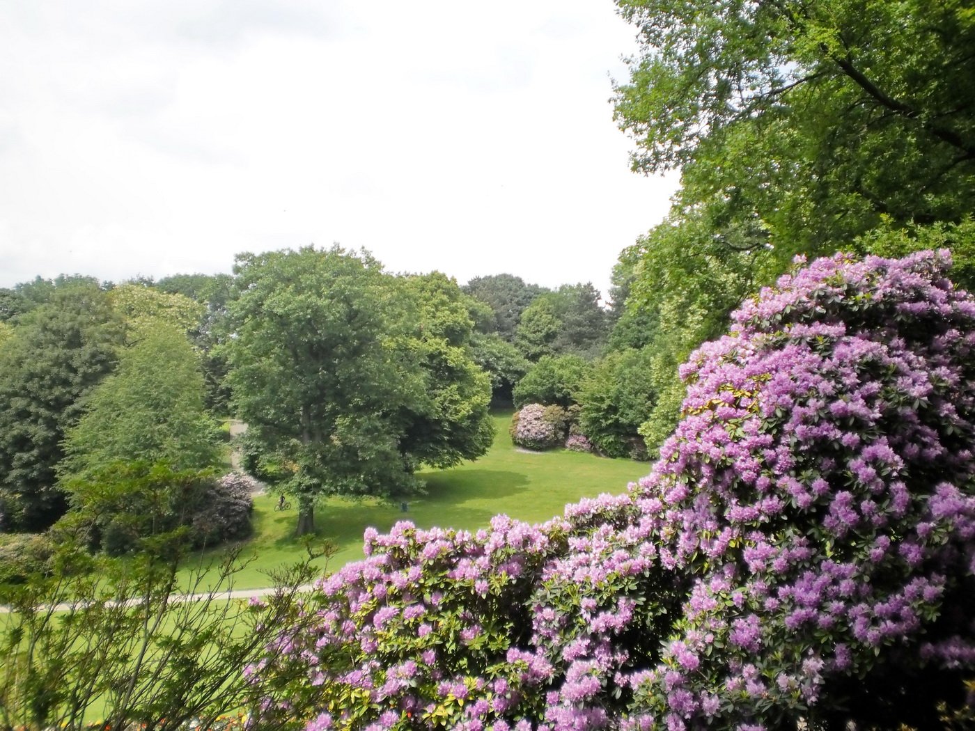 🌳 하르트 공원(하르트안라겐)